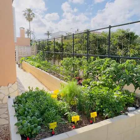 Rafael, Con Piscina, Jardin. Barbacoa Y Tranquilidad *